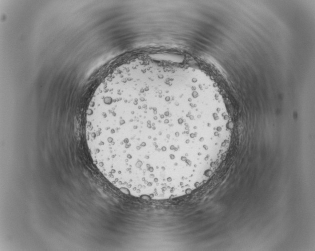 X0000088221064200706121824