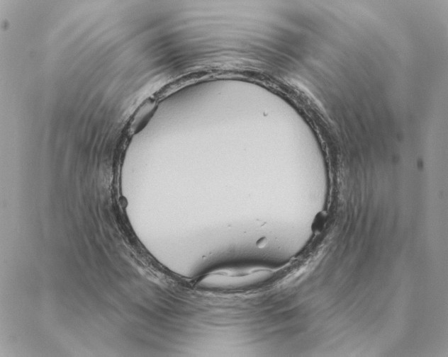 X0000088221065200706121824