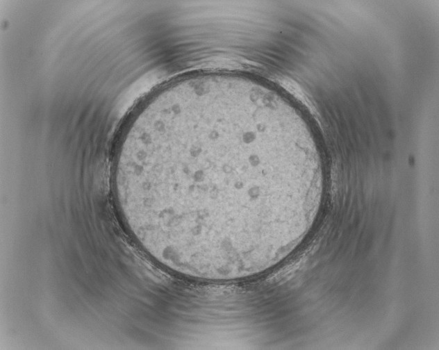 X0000088221067200706121824