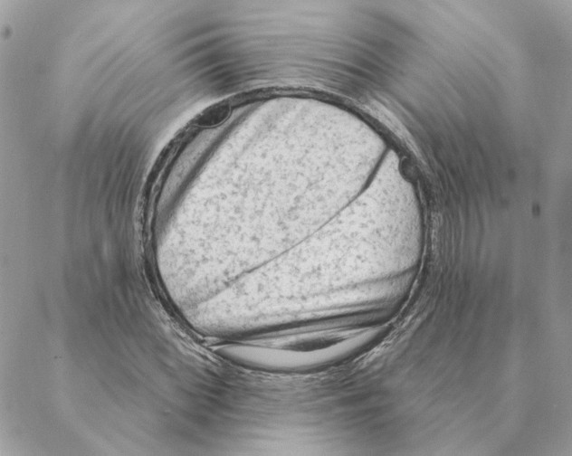 X0000088221068200706121824