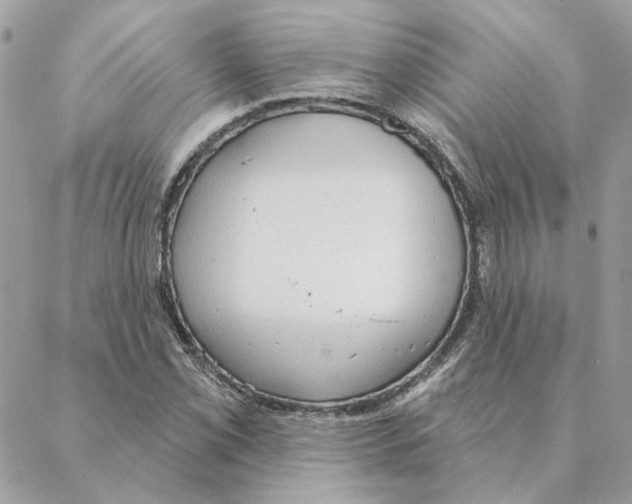 X0000088221069200706121824