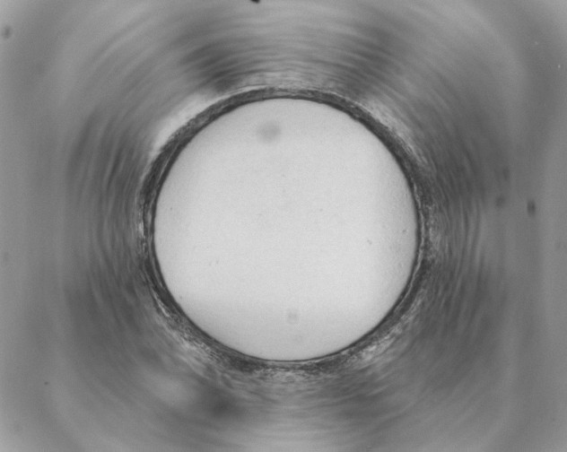 X0000088221070200706121824