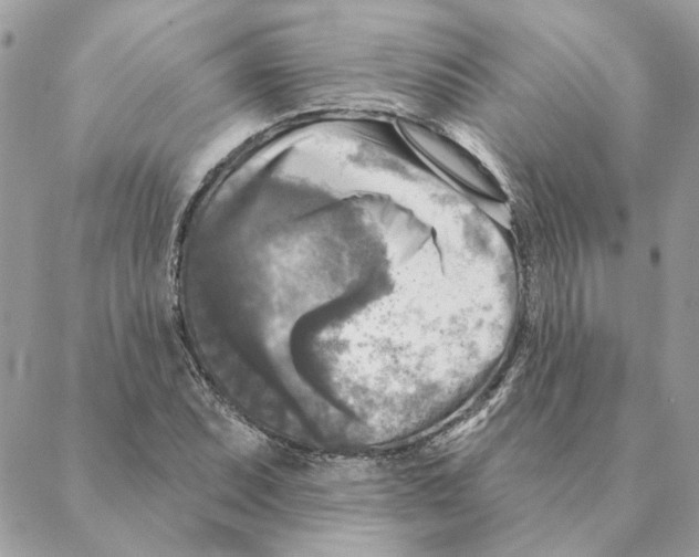 X0000088221071200706121824