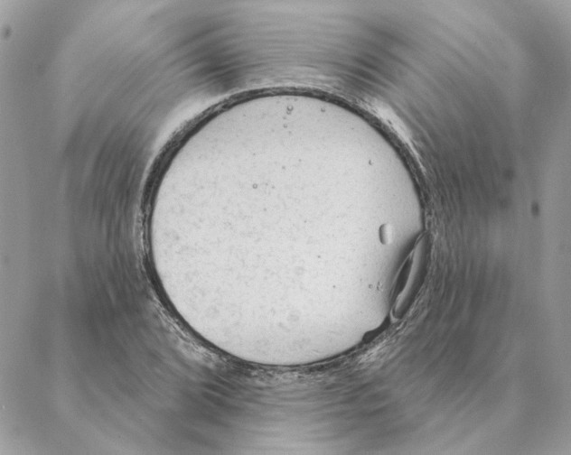 X0000088221072200706121824