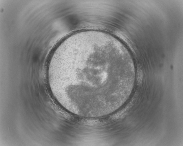 X0000088221074200706121824