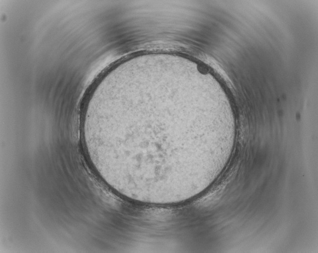 X0000088221075200706121824