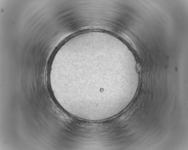 X0000088221076200706121824