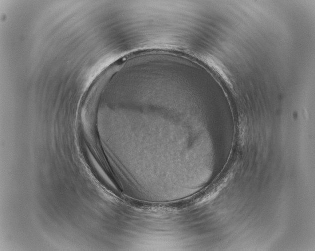 X0000088221077200706121824