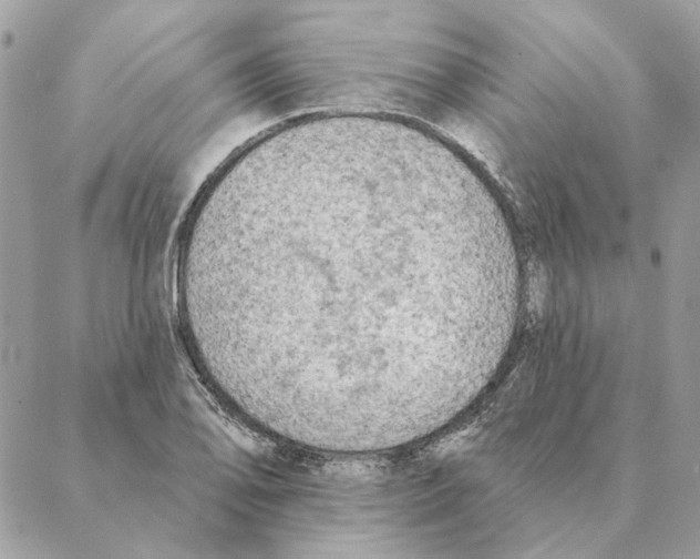 X0000088221078200706121824