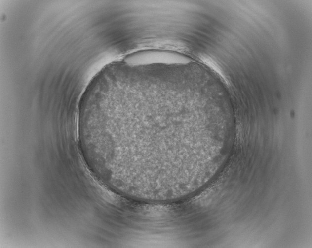 X0000088221079200706121824