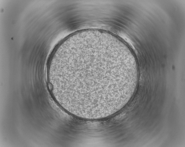 X0000088221080200706121824