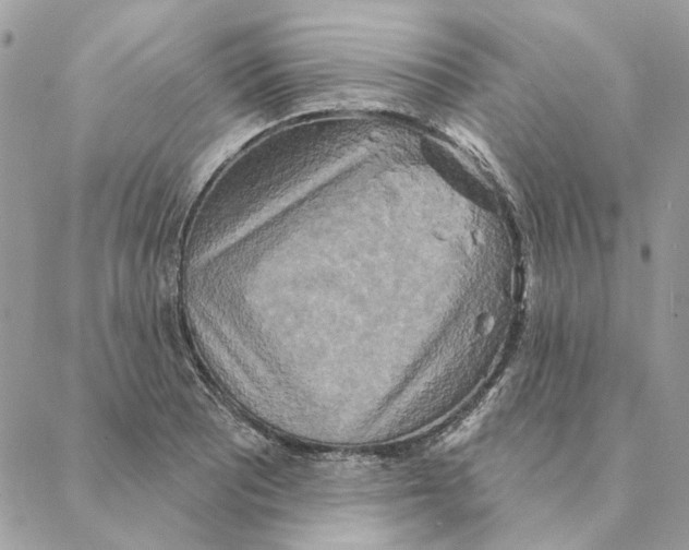 X0000088221081200706121824