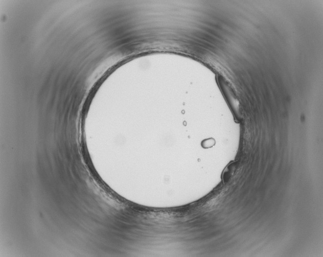 X0000088221082200706121824