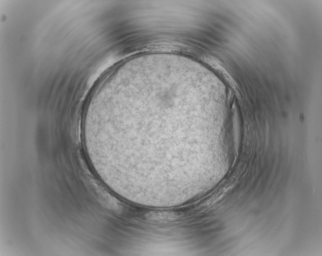 X0000088221083200706121824