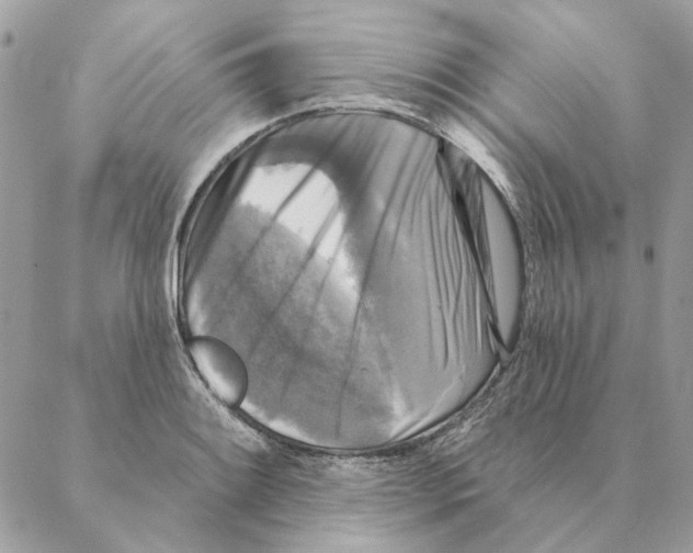 X0000088221084200706121824