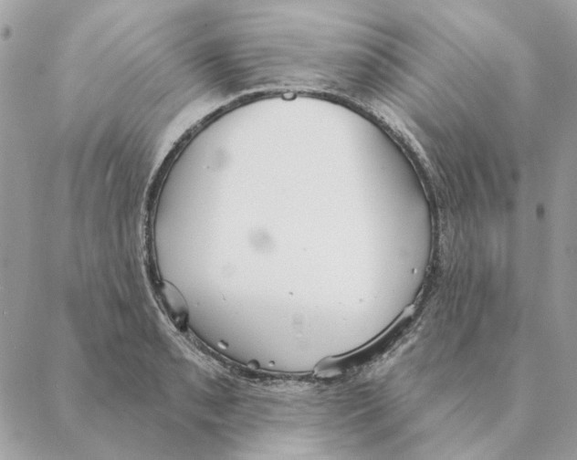 X0000088221085200706121824