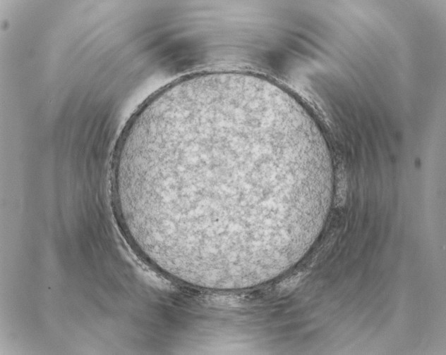 X0000088221086200706121824