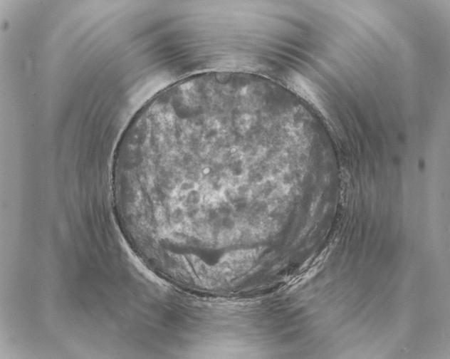 X0000088221087200706121824