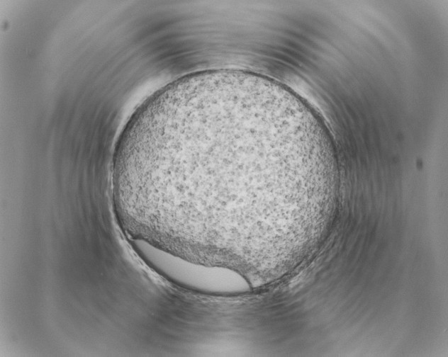 X0000088221088200706121824