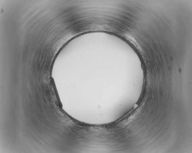 X0000088221089200706121824