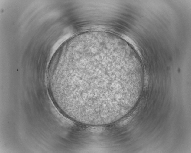 X0000088221090200706121824