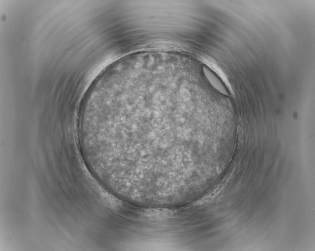 X0000088221091200706121824