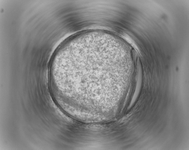 X0000088221092200706121824