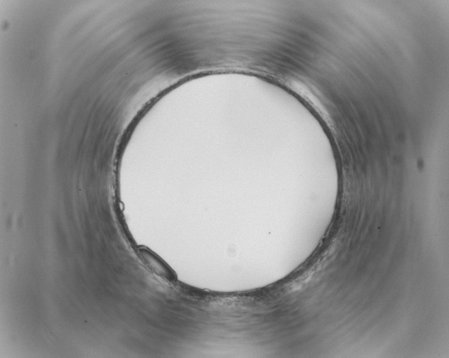 X0000088221093200706121824