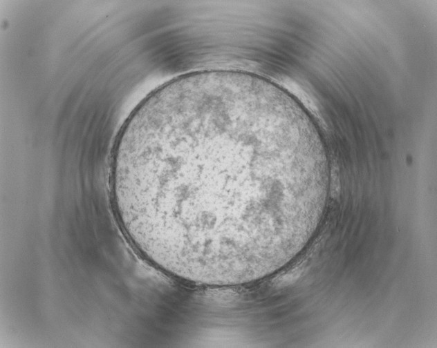 X0000088221094200706121824