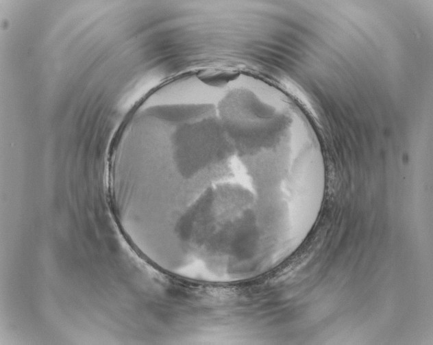 X0000088221095200706121824