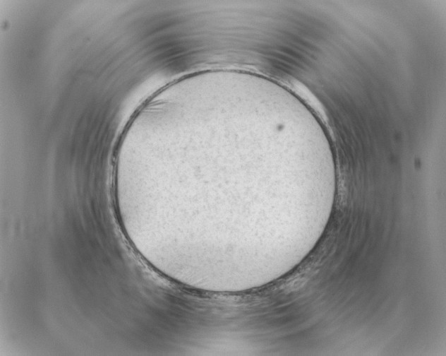 X0000088221096200706121824