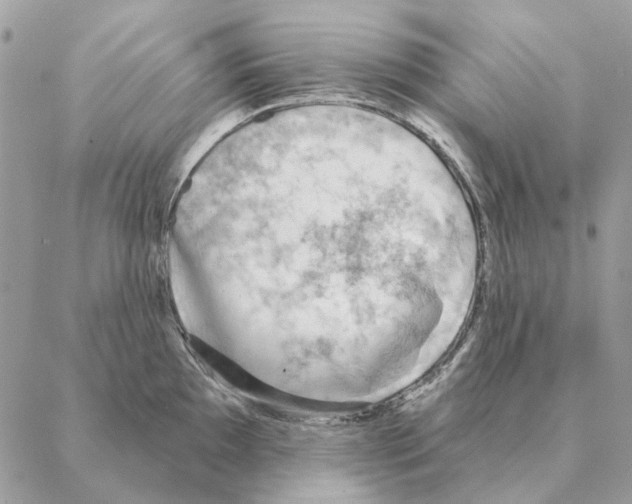 X0000088221097200706121824