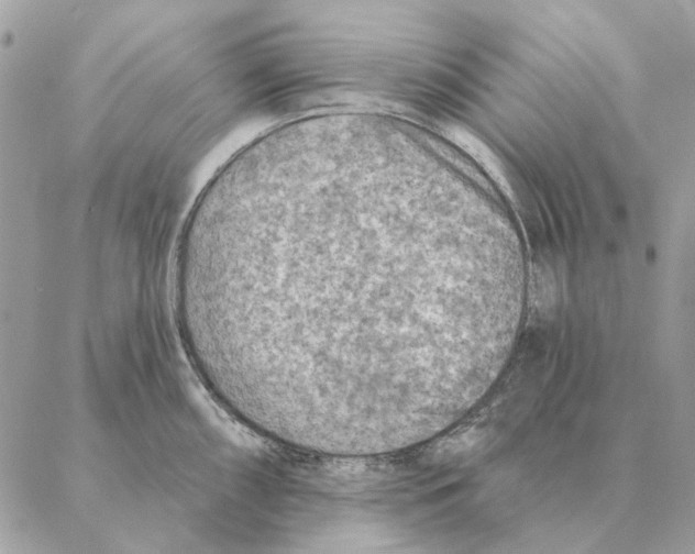 X0000088221098200706121824