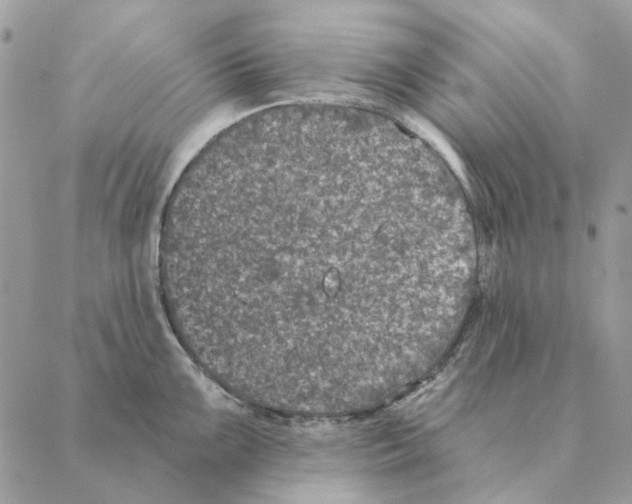 X0000088221099200706121824