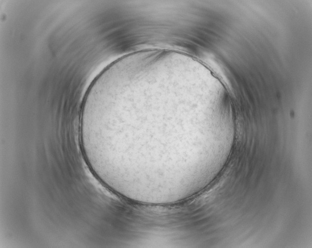 X0000088221100200706121824