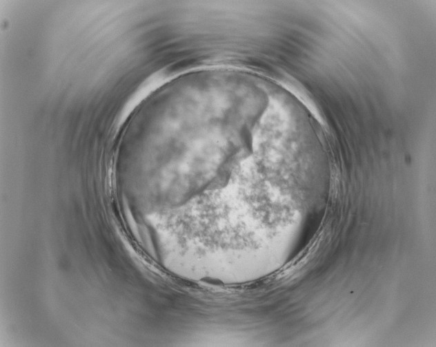 X0000088221101200706121824