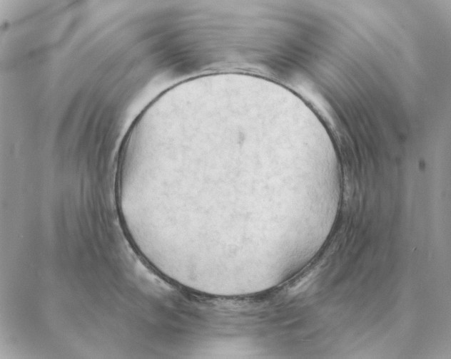 X0000088221102200706121824