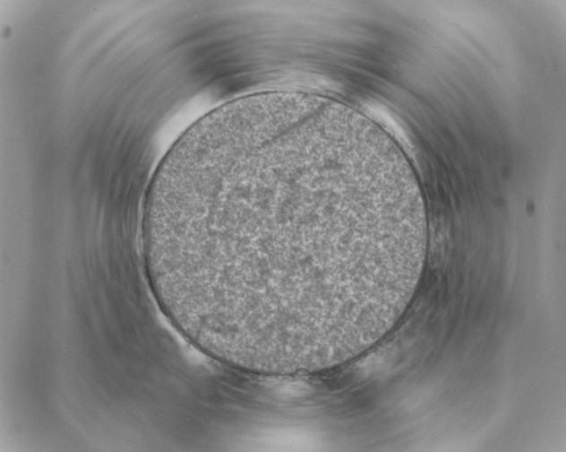 X0000088221103200706121824