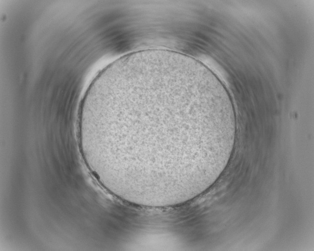 X0000088221104200706121824