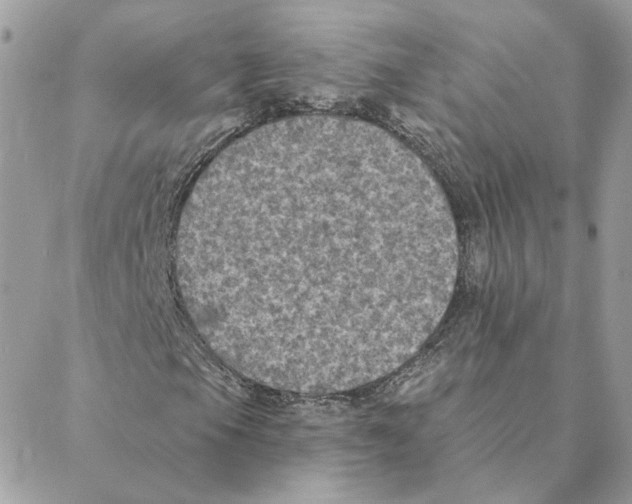 X0000088221105200706121823