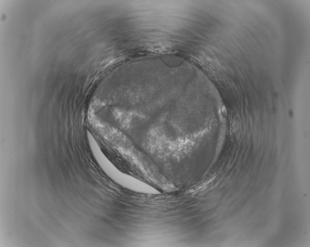 X0000088221106200706121823