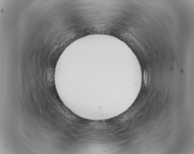 X0000088221107200706121823