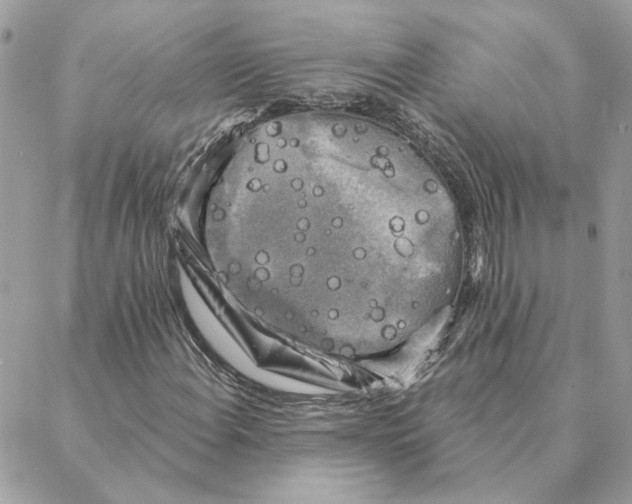 X0000088221108200706121823