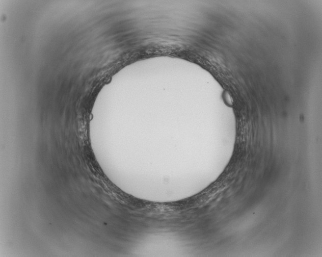 X0000088221109200706121823