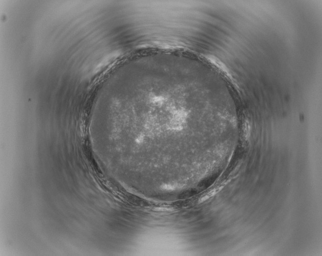 X0000088221110200706121823