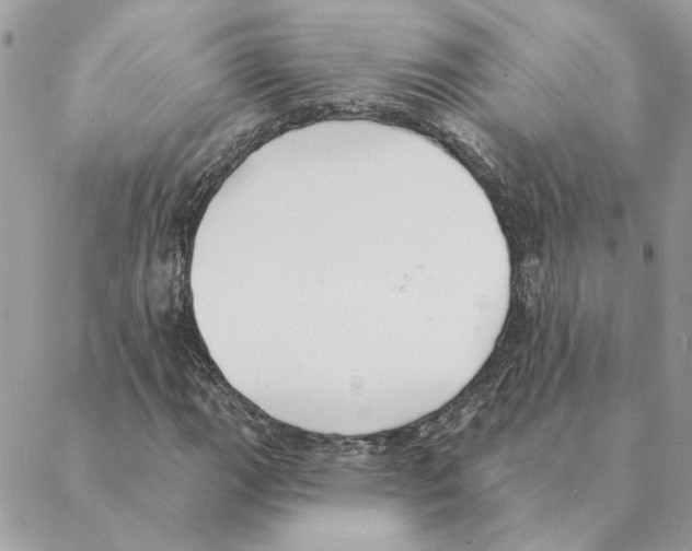 X0000088221111200706121823