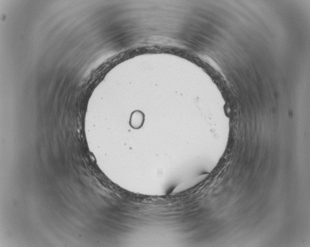 X0000088221112200706121823