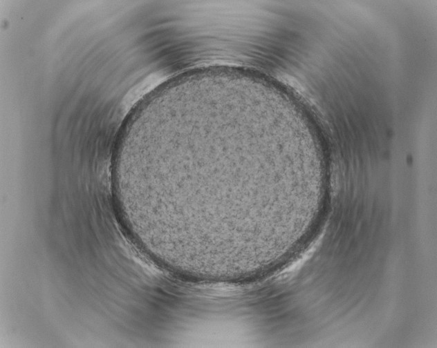 X0000088221113200706121823