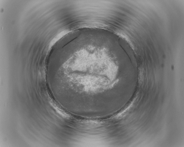 X0000088221114200706121823