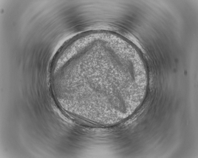 X0000088221116200706121823